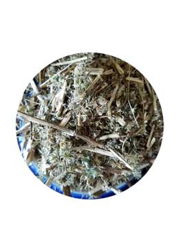 2oz Boneset cut